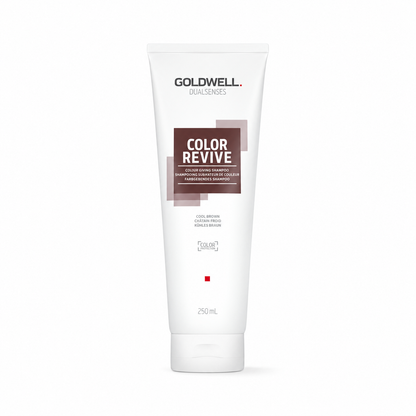 Goldwell Dualsenses Color Revive Shampoo 250 ml – Farbauffrischendes Shampoo