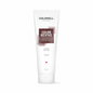 Goldwell Dualsenses Color Revive Shampoo 250 ml – Farbauffrischendes Shampoo