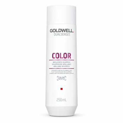 Goldwell Dualsenses Color Brilliance Shampoo – Farbschutz & Glanz