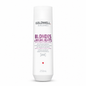 Goldwell Dualsenses Blondes & Highlights Anti-Yellow Shampoo
