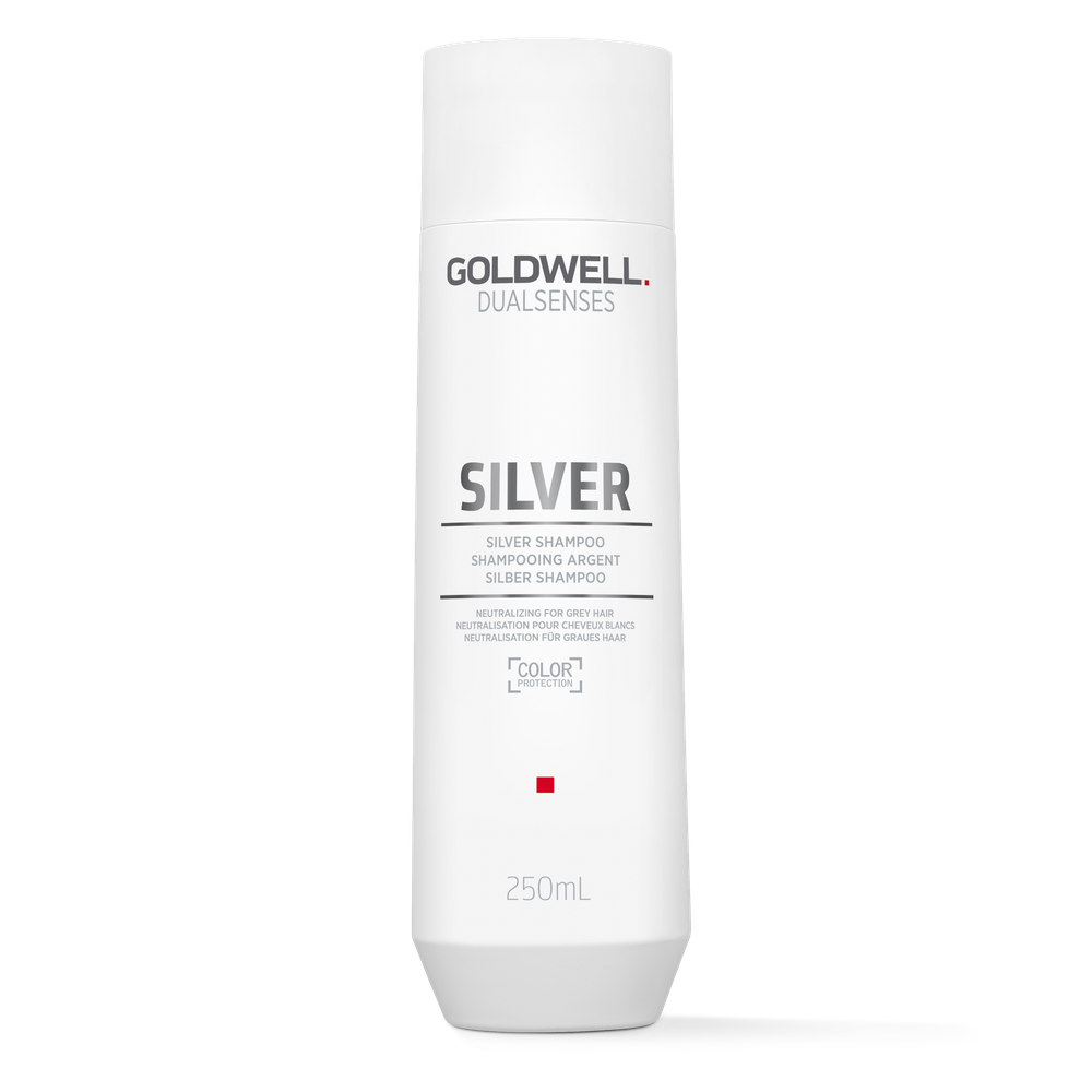 Dualsenses Silver Shampoo 250ml-PFLEGE-Goldwell-TipTopPreis GmbH