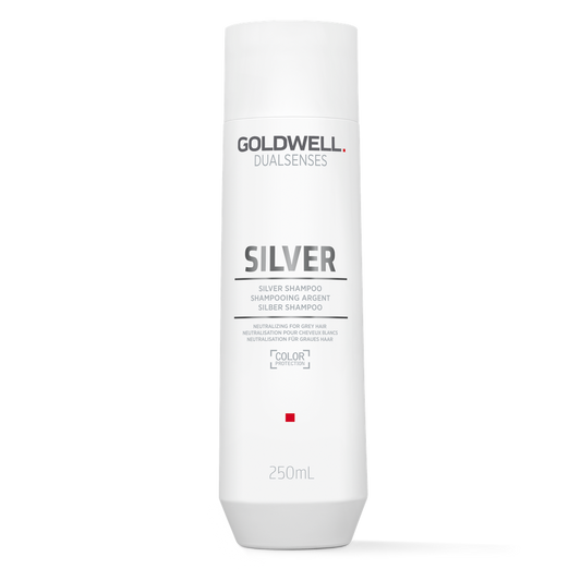 Dualsenses Silver Shampoo 250ml-PFLEGE-Goldwell-TipTopPreis GmbH