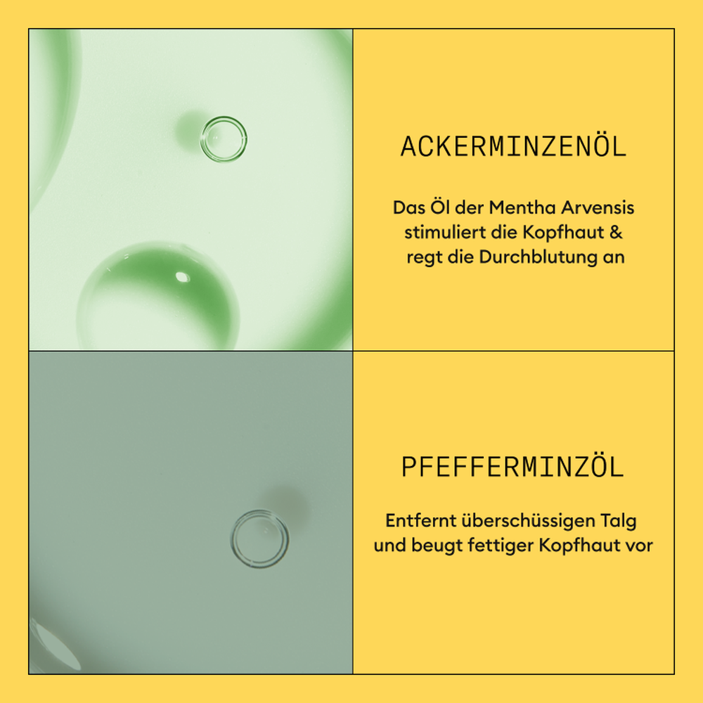 Nioxin System 1 Conditioner-PFLEGE-Wella-300ml-TipTopPreis GmbH