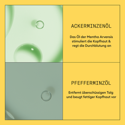Nioxin System 1 Conditioner-PFLEGE-Wella-300ml-TipTopPreis GmbH