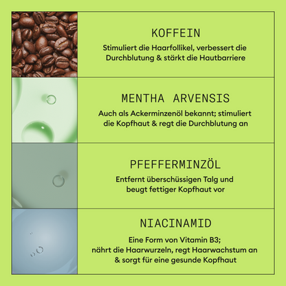 Nioxin System 2 KIT-PFLEGE-Wella-340ml-TipTopPreis GmbH
