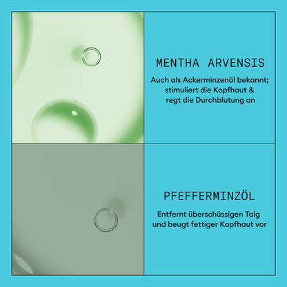 Nioxin System 3 Conditioner-PFLEGE-Wella-300ml-TipTopPreis GmbH