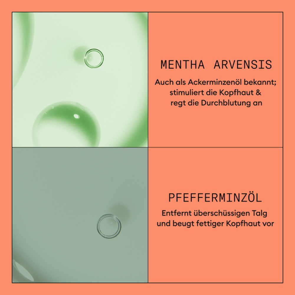 Nioxin System 4 Conditioner-PFLEGE-Wella-300ml-TipTopPreis GmbH