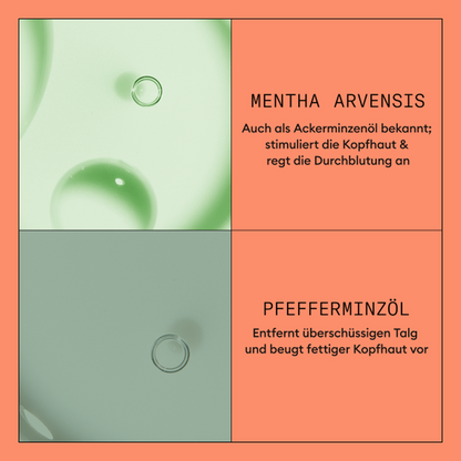 Nioxin System 4 Conditioner-PFLEGE-Wella-300ml-TipTopPreis GmbH
