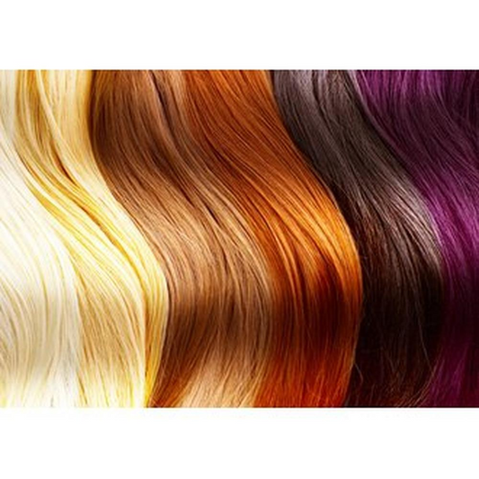 Topchic Zero Farbkarte-FARBEN-Goldwell-TipTopPreis GmbH